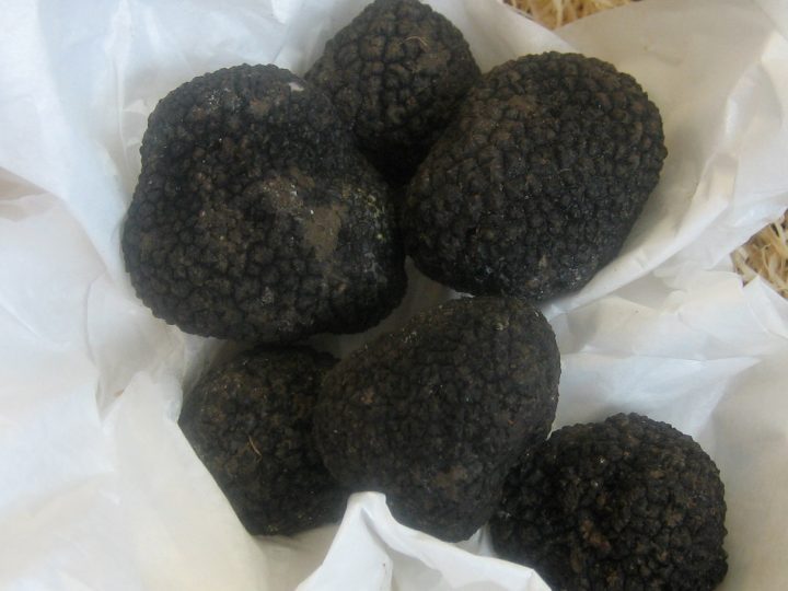 ‘TIS THE BLACK SUMMER TRUFFLE SEASON