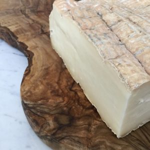 Taleggio
