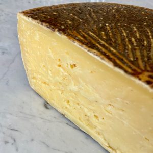 Tuma Persa